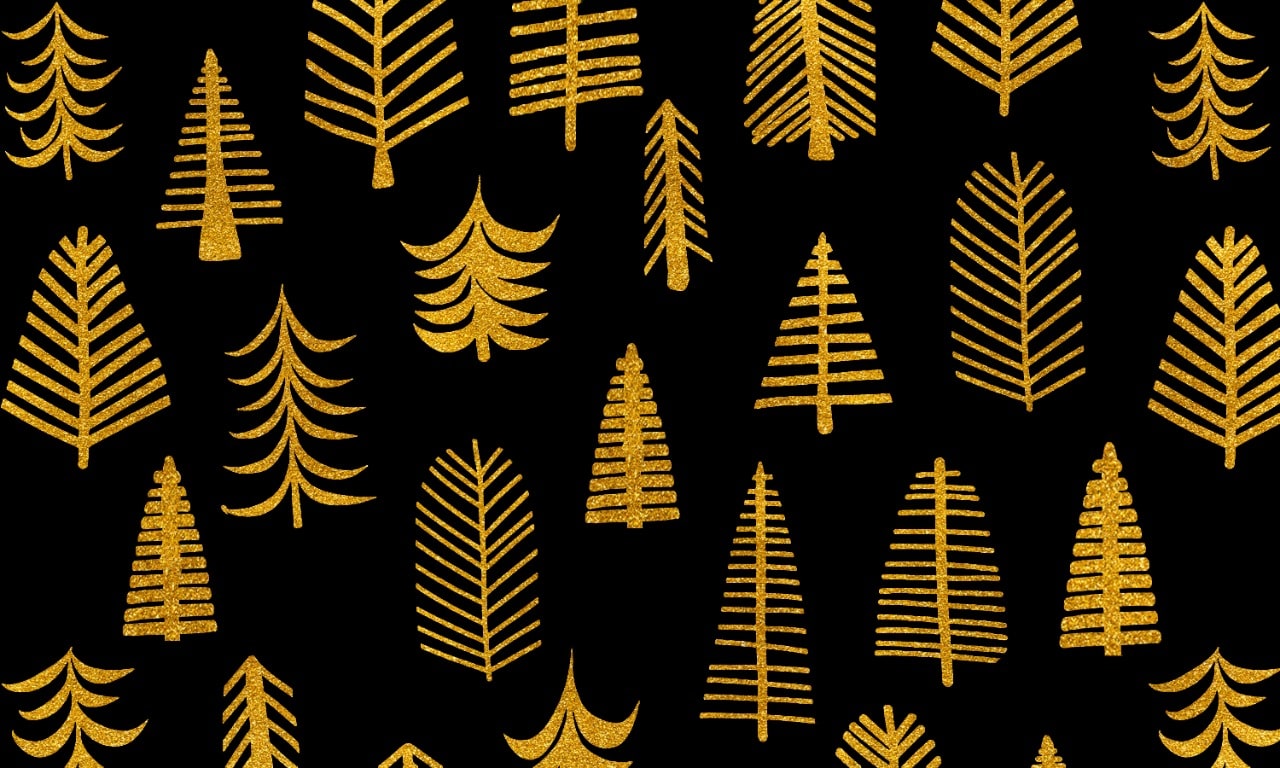 coir products manufacturers in kerala